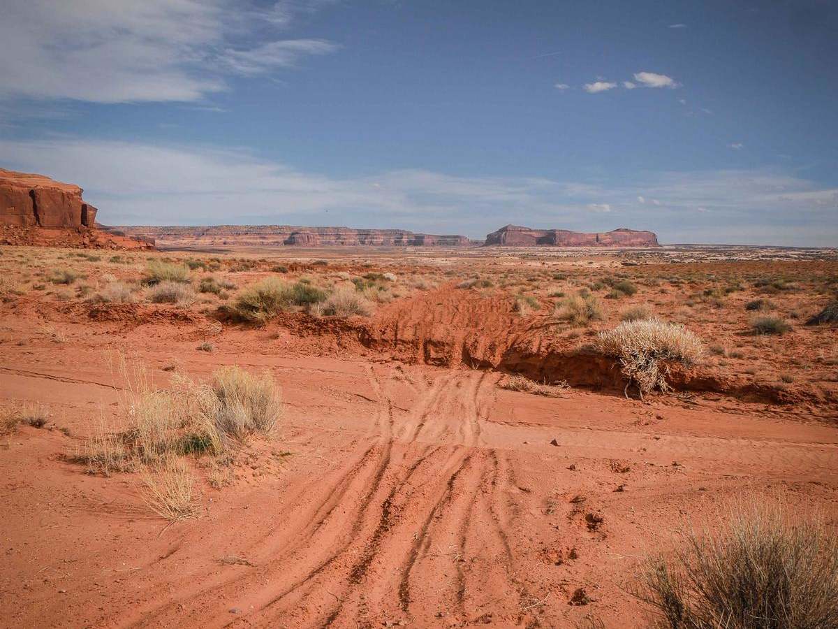 Saddle ATV Trail photo 3