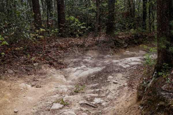 Trail 1B