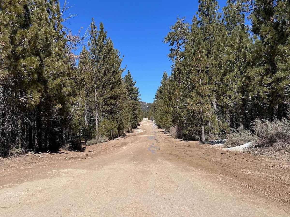 Polique Canyon - 2N09 photo 6