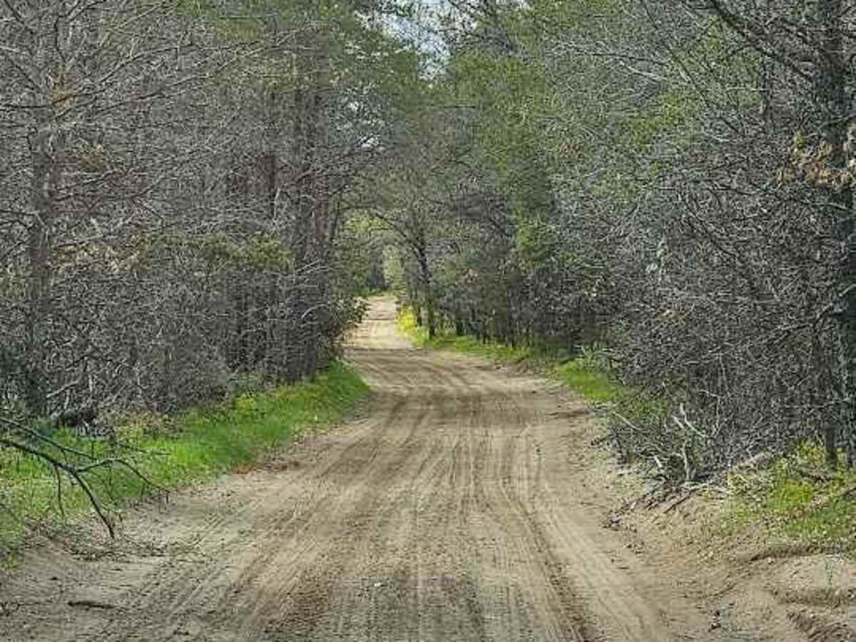 Leota High Banks photo 3