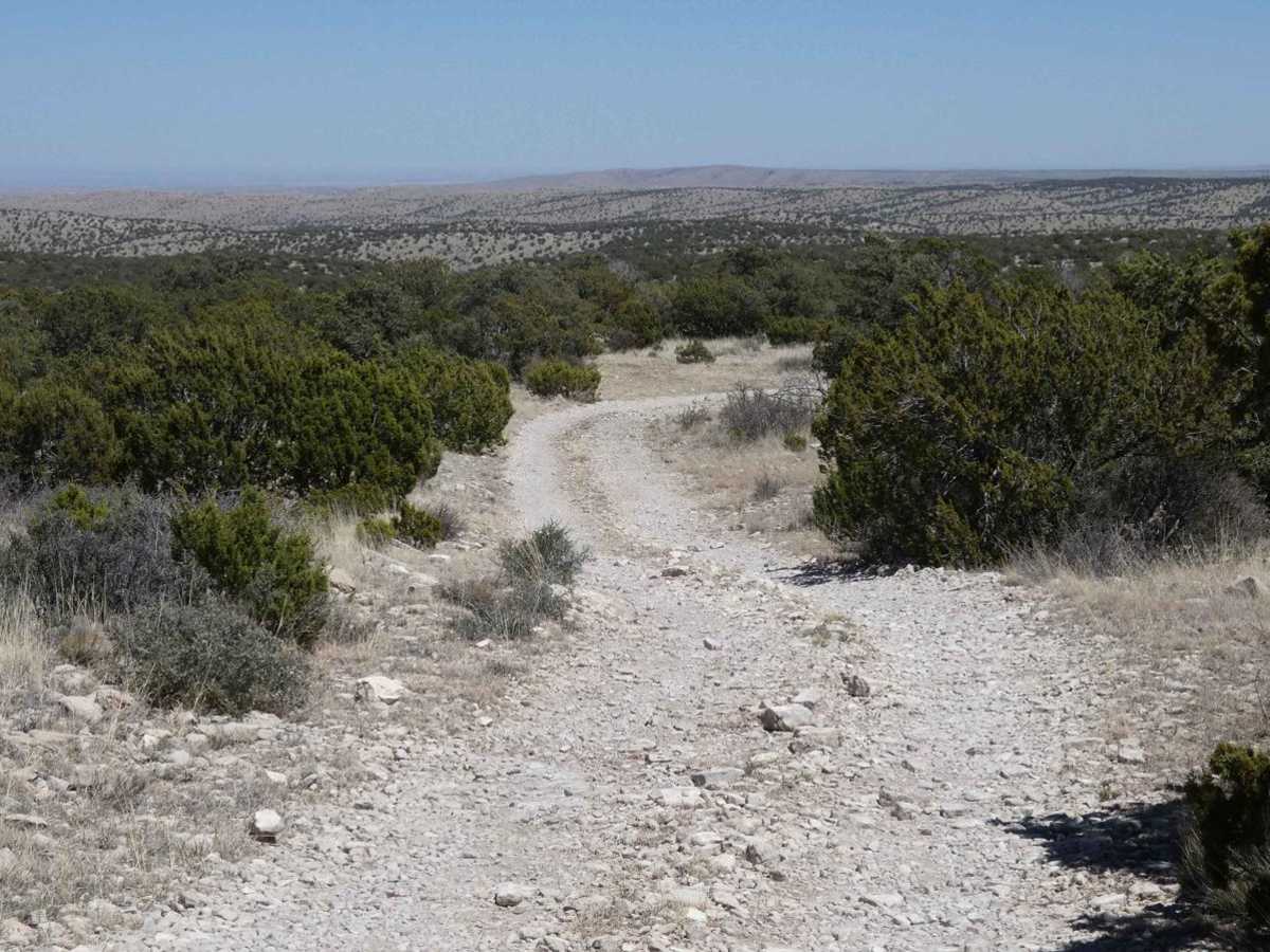 Wildhorse photo 5