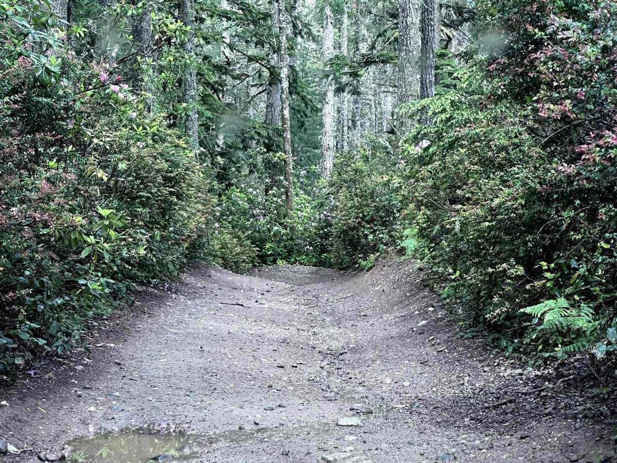 4x4 Play Area Entrance Road photo 3