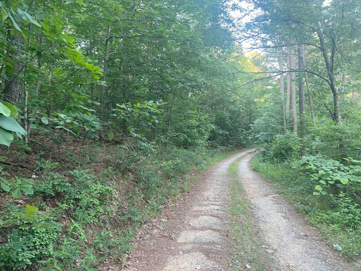 East Armuchee Creek - Forest Road 310 photo 4