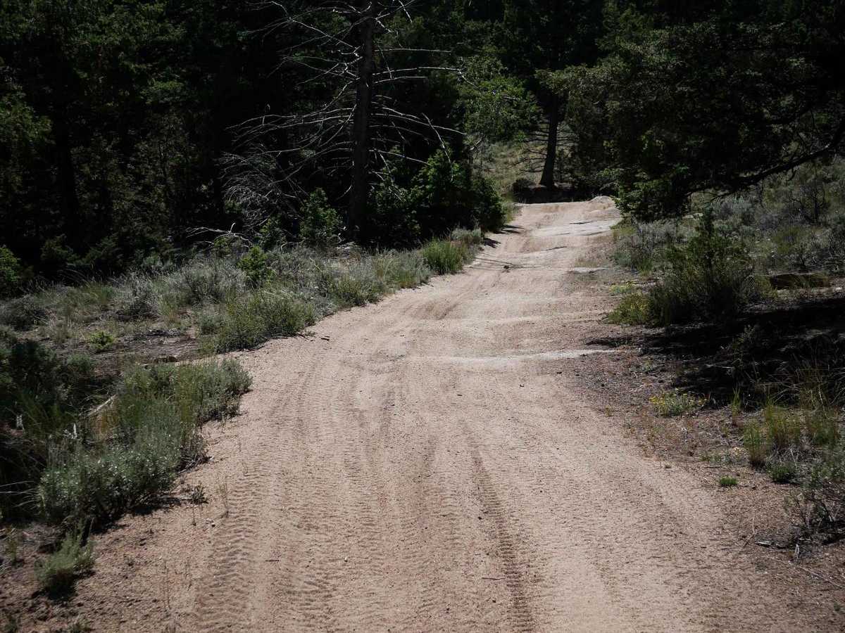 Canyon ATV Trail photo 3