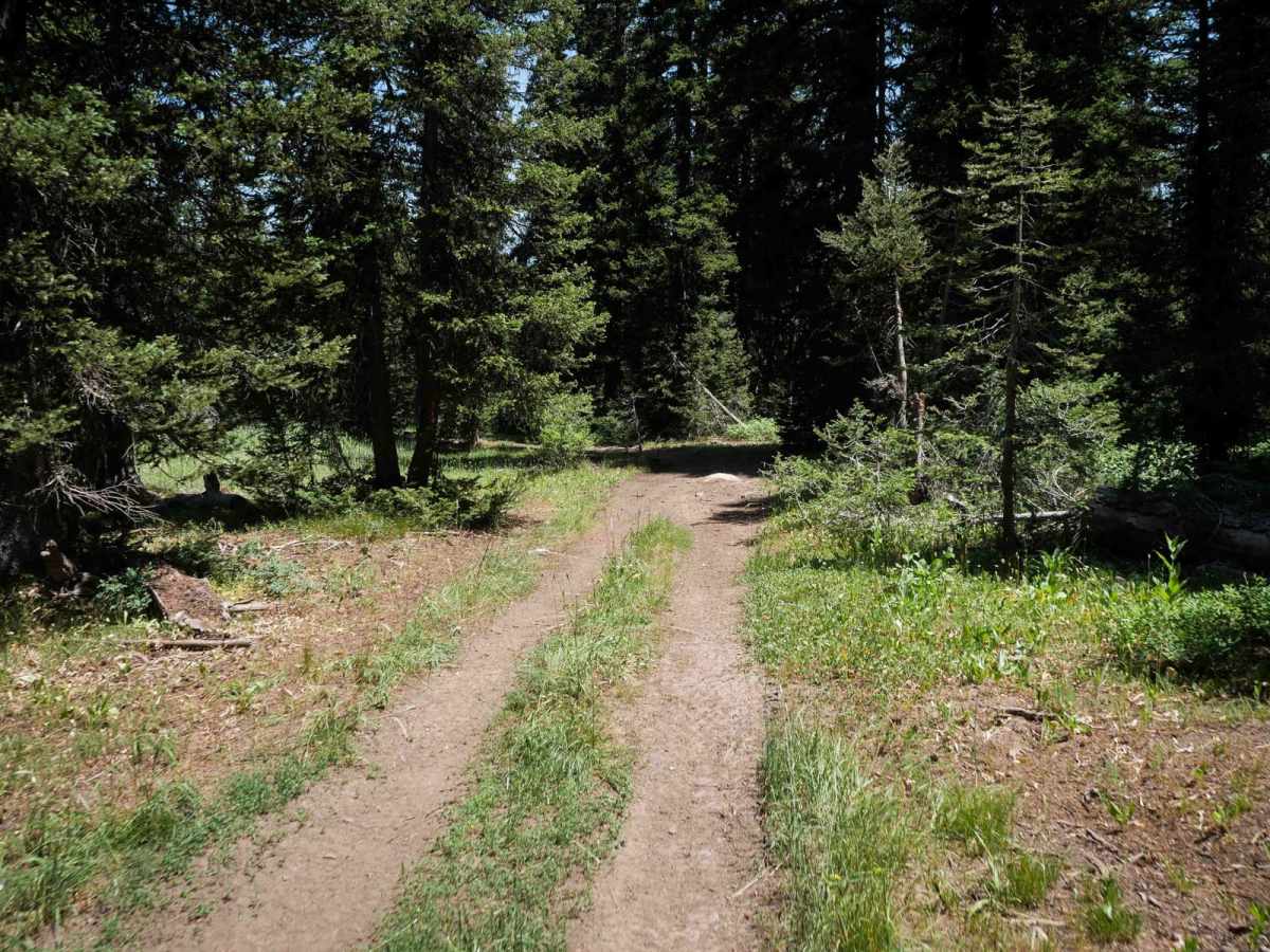 North Middle #3443  photo 6