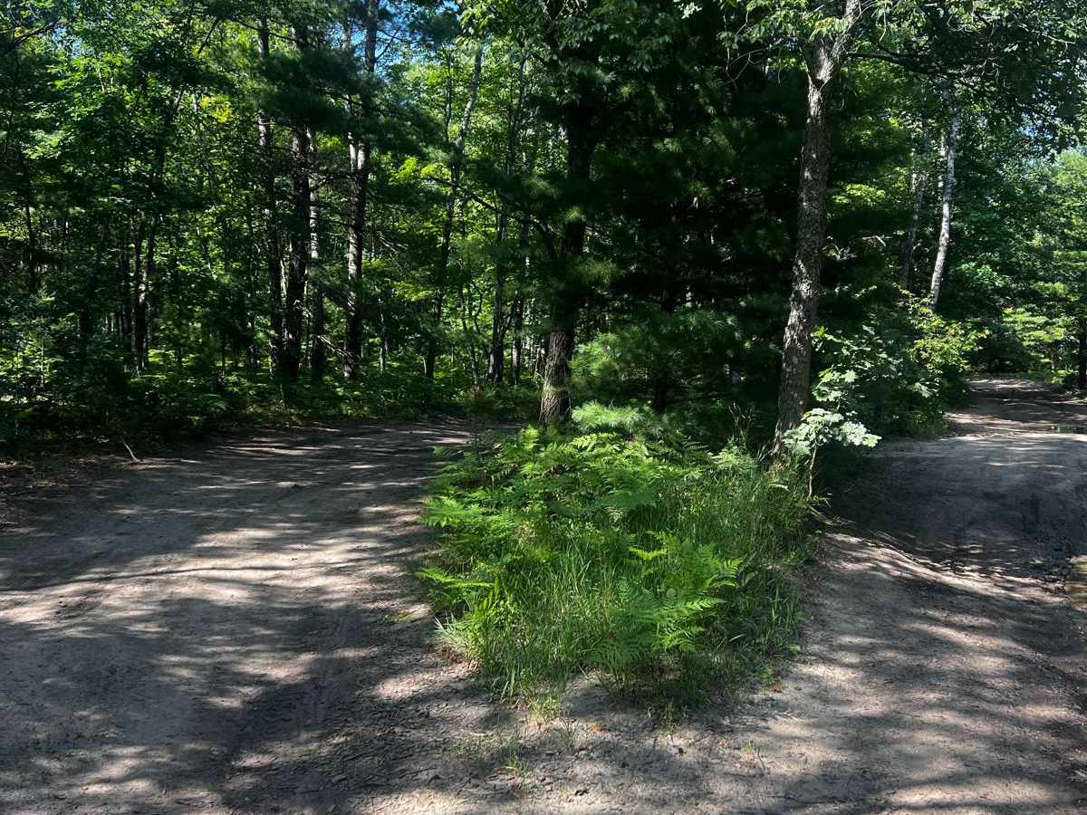 River Forest Loop Trail photo 6
