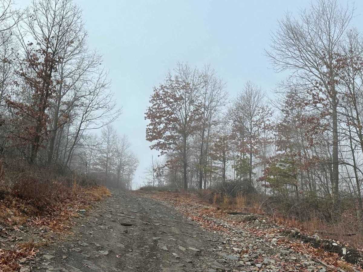 Hill Island Road to Paradise Connector photo 3
