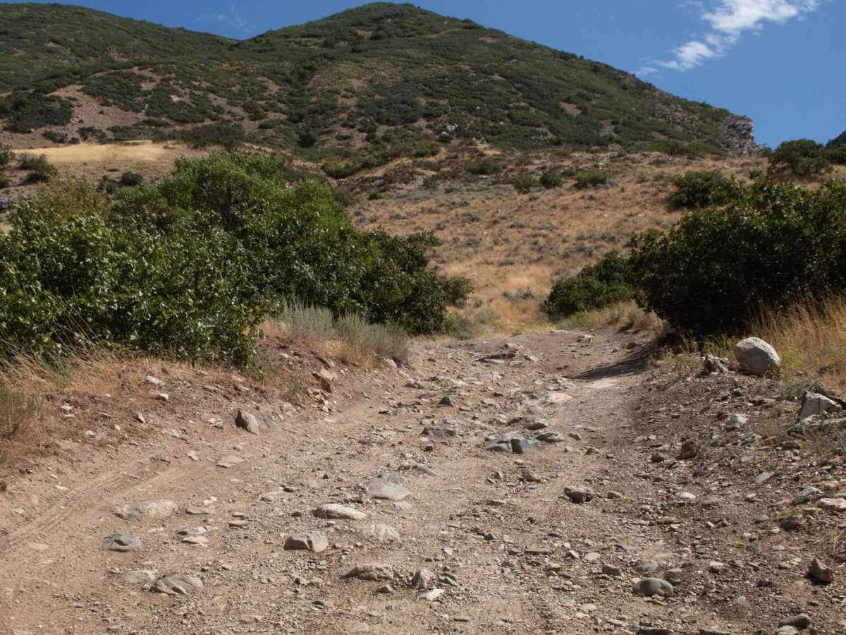 Centerville Firebreak Road photo 5