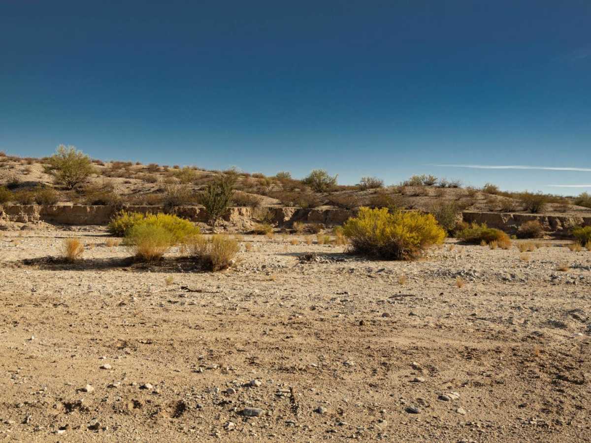Bullard Wash photo 5