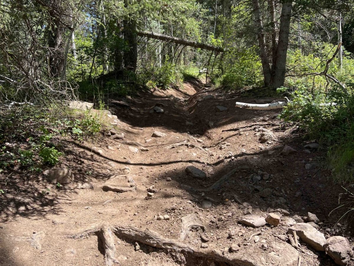 Mill Canyon (2040) trail photo