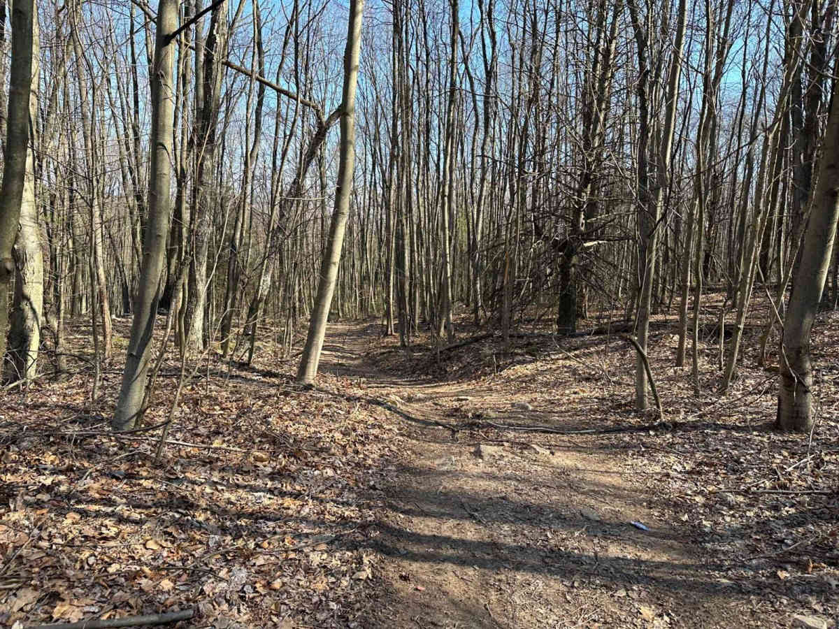 Tower City 5 trail photo