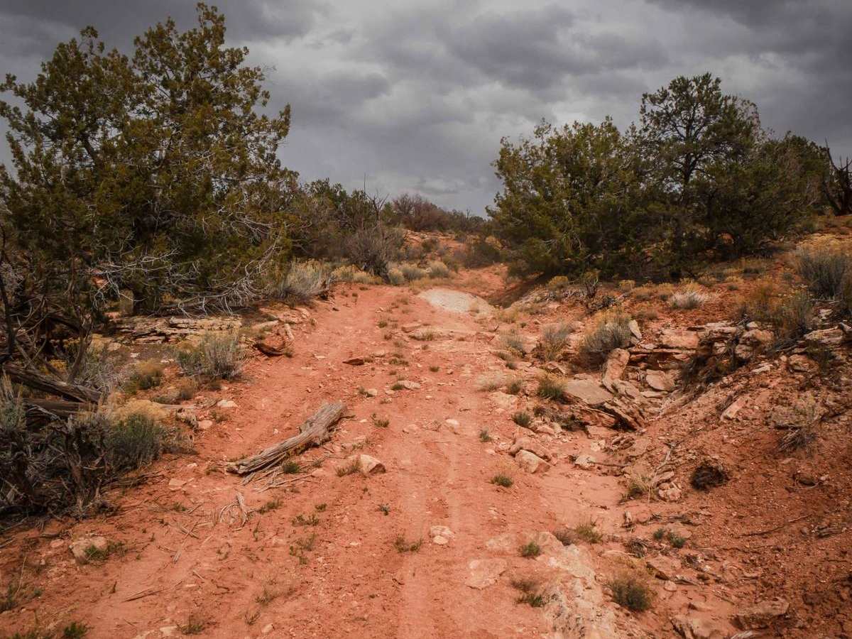 Fence Trail photo 2