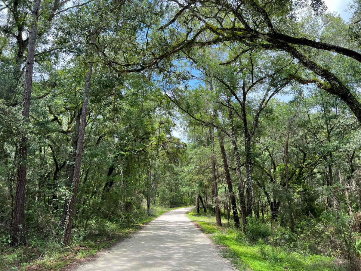 Citrus Wildlife Management | Trail 13 photo 5