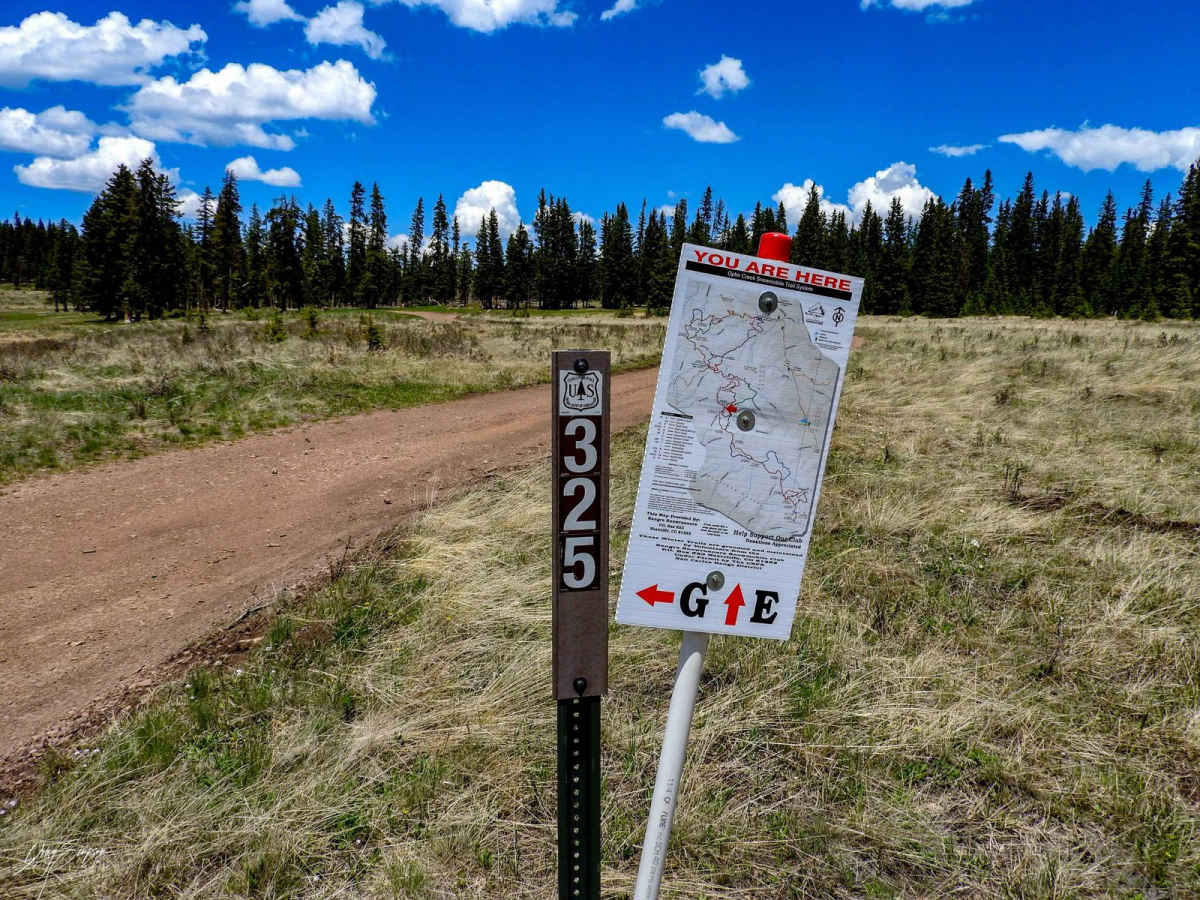 Meadow Divide Road- FSR 325 trail photo