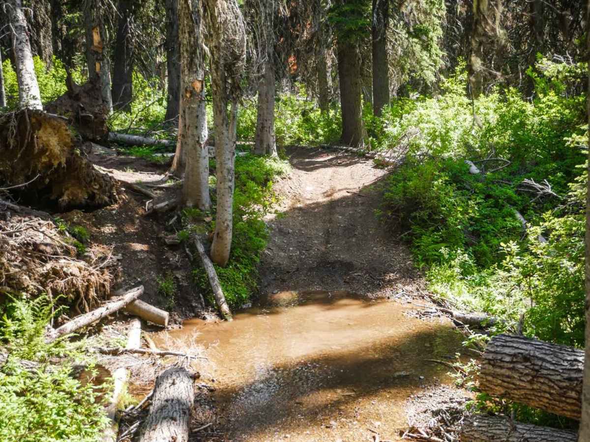 Lake Elsie ATV photo 3
