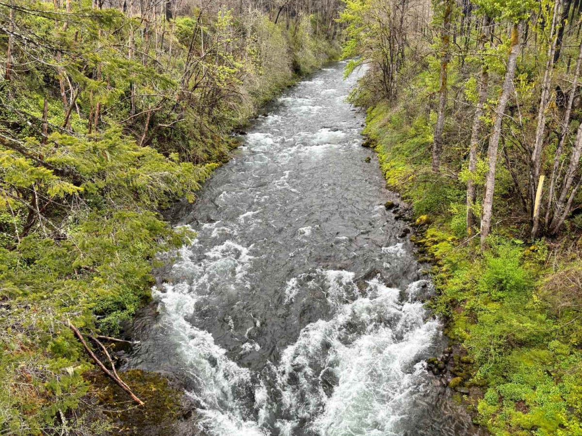 Horse Creek Road photo 5