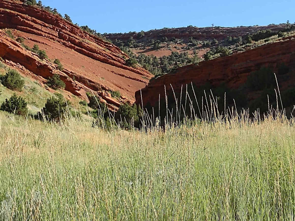 Red Canyon Road photo 2