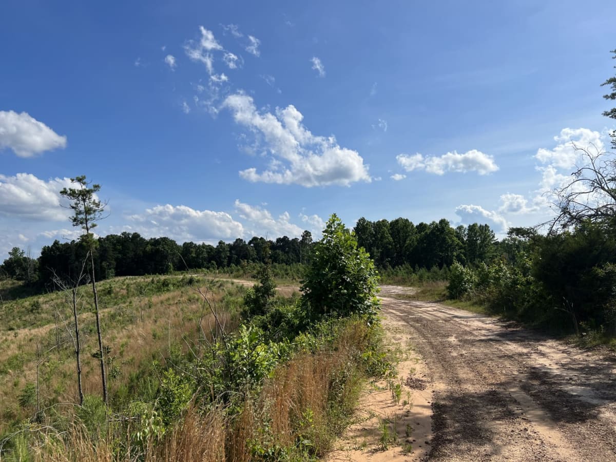 Fork Creek Road trail photo