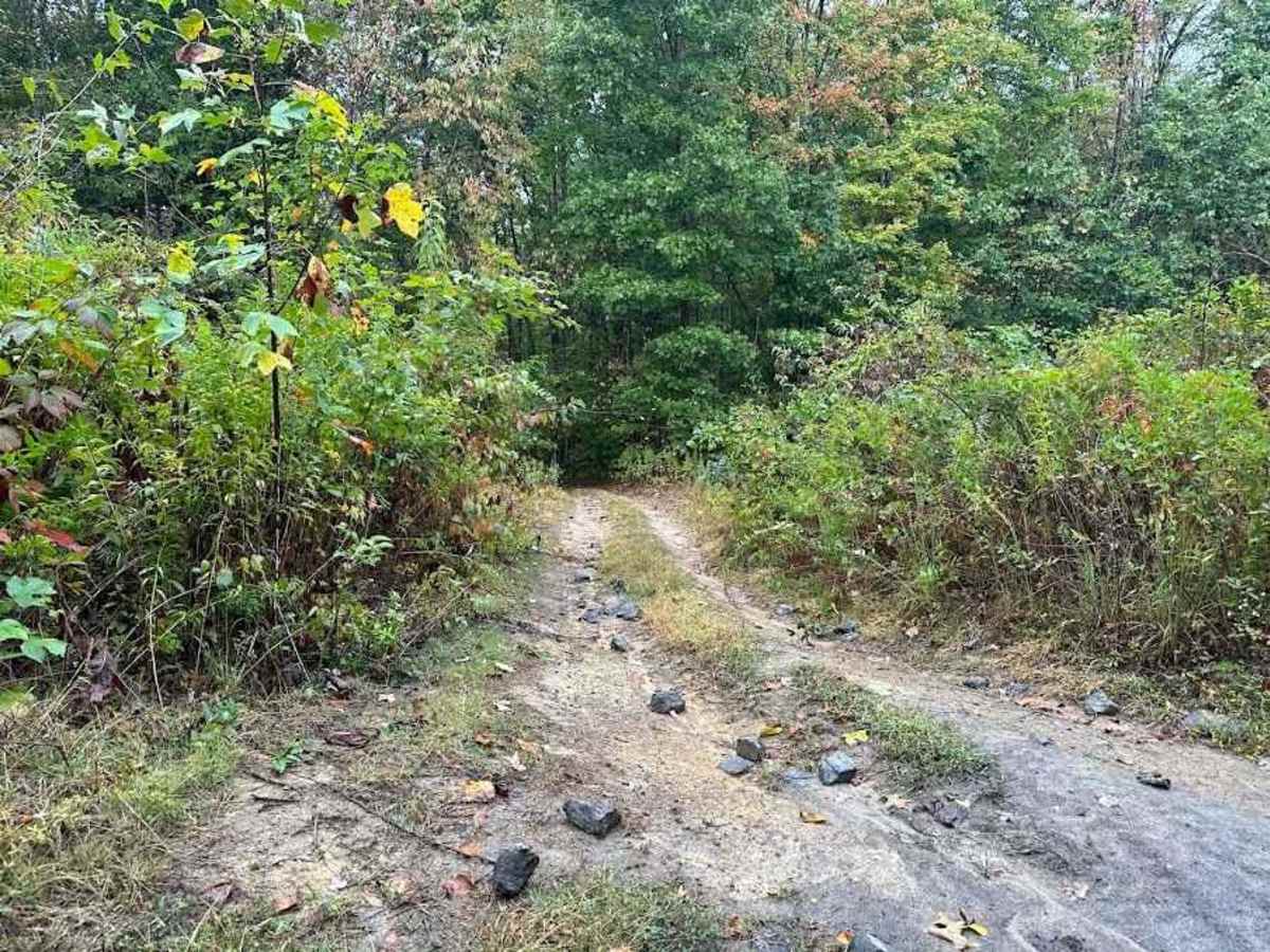 W Green trail photo