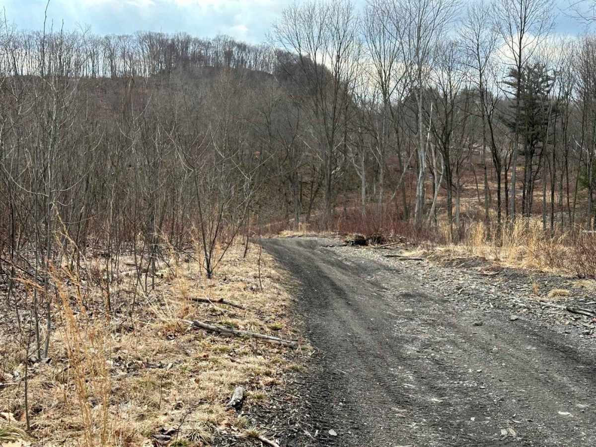 Ashland 63 trail photo