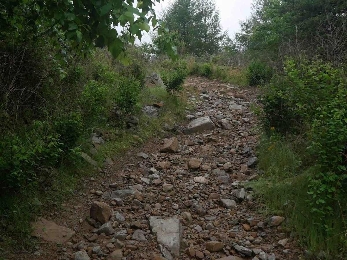 CC4 trail photo