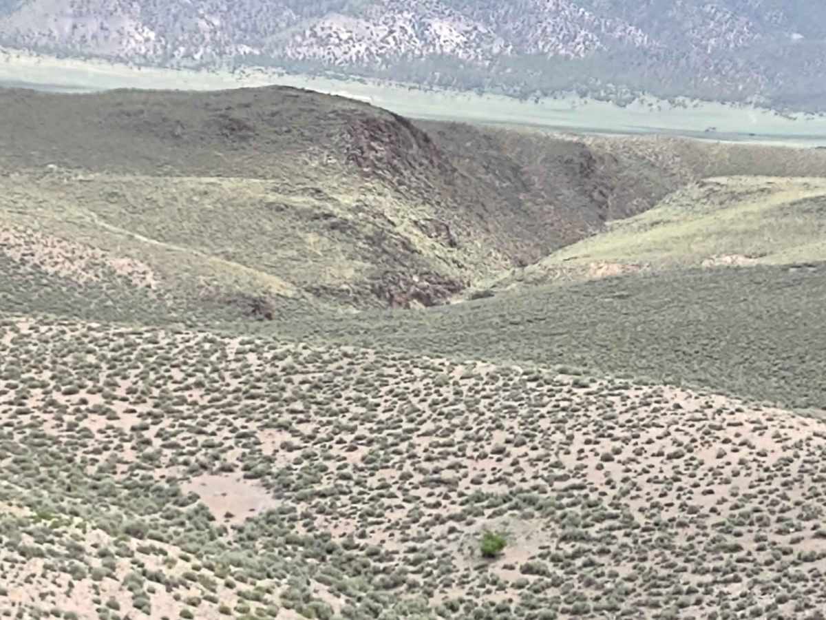 Wildlife Excursion trail photo
