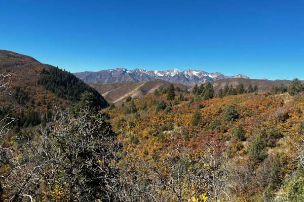 Right Fork Hobble Creek Road