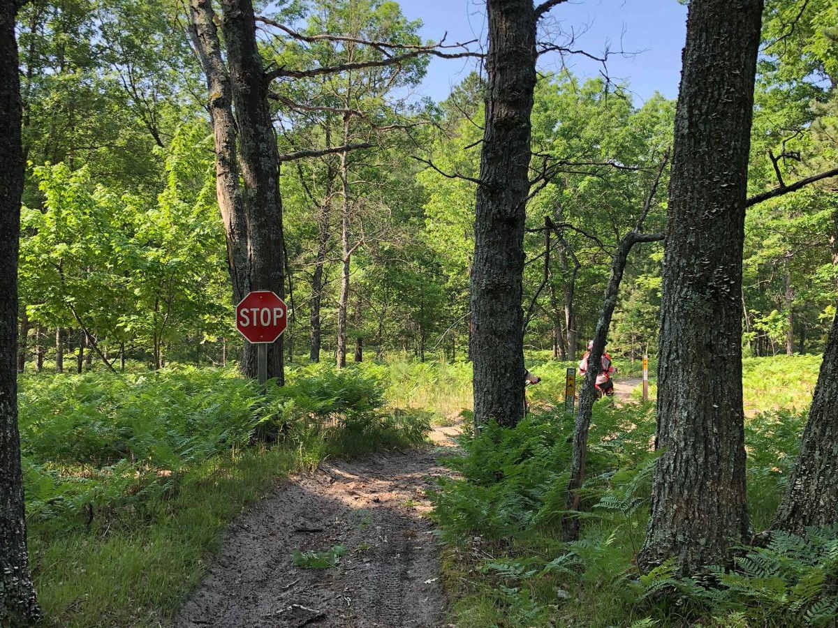 North Missaukee Trail - 14478 & 14167 photo 5