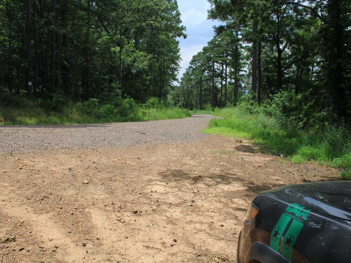 Petit Jean Road To Jack Creek photo 2