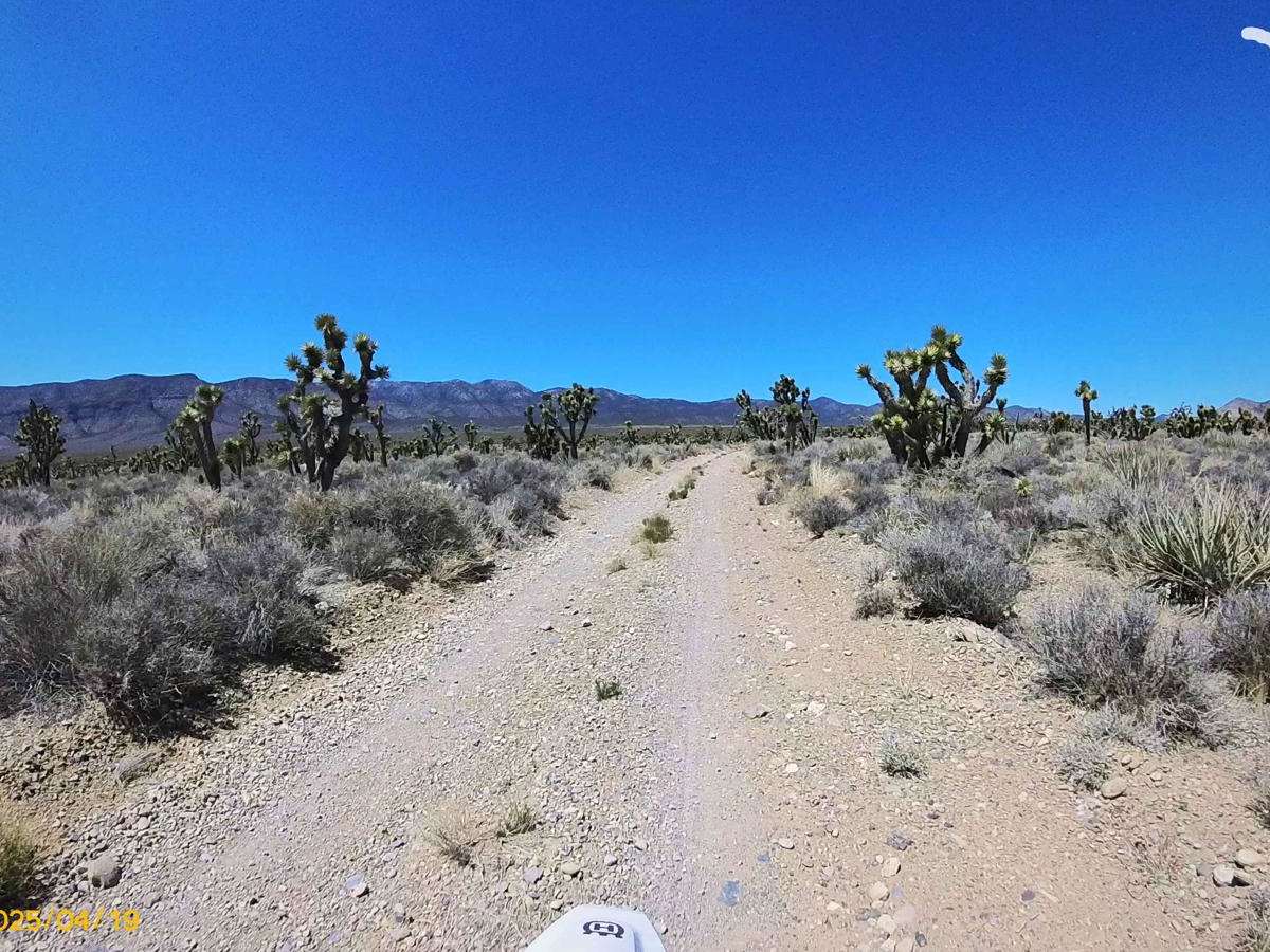 Pine Nut Road photo 4