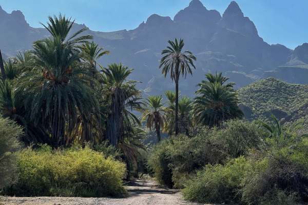 El Juncalito Escondido