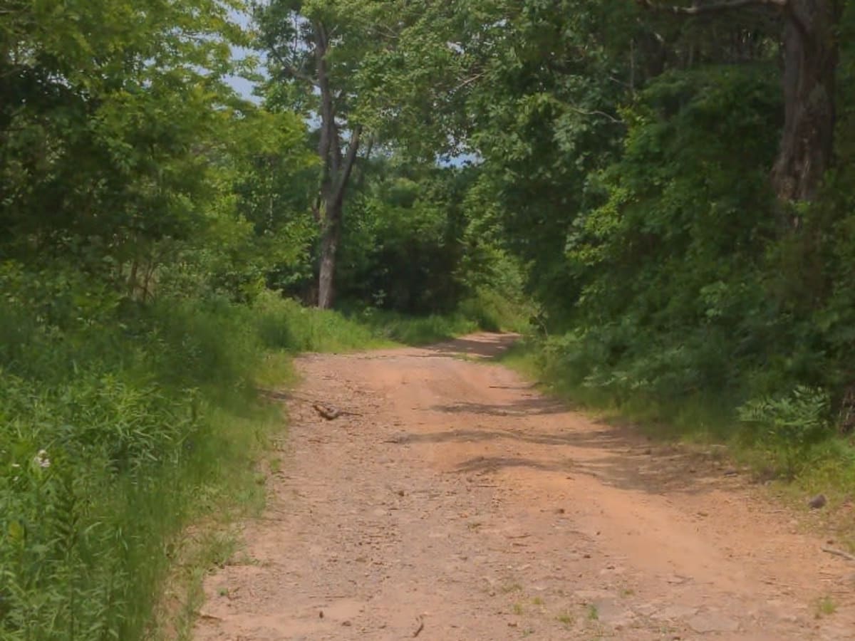 Brown Road photo 4