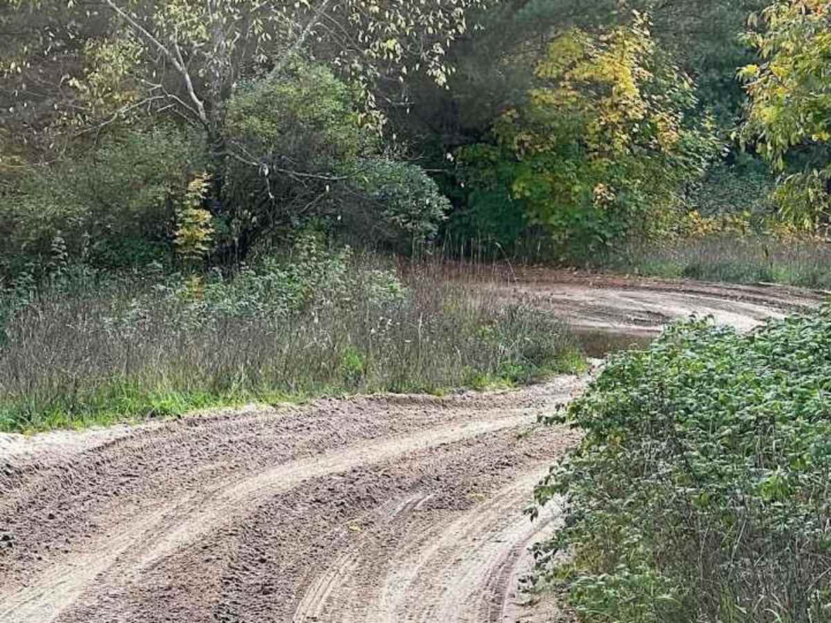 High Rollway Scenic Overlanding Trail 1 photo 4