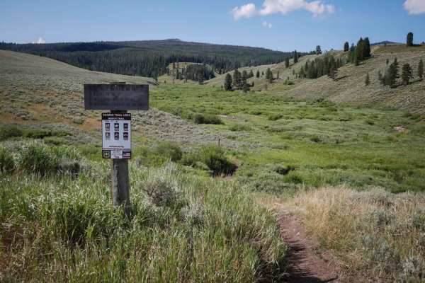 Wapiti Creek