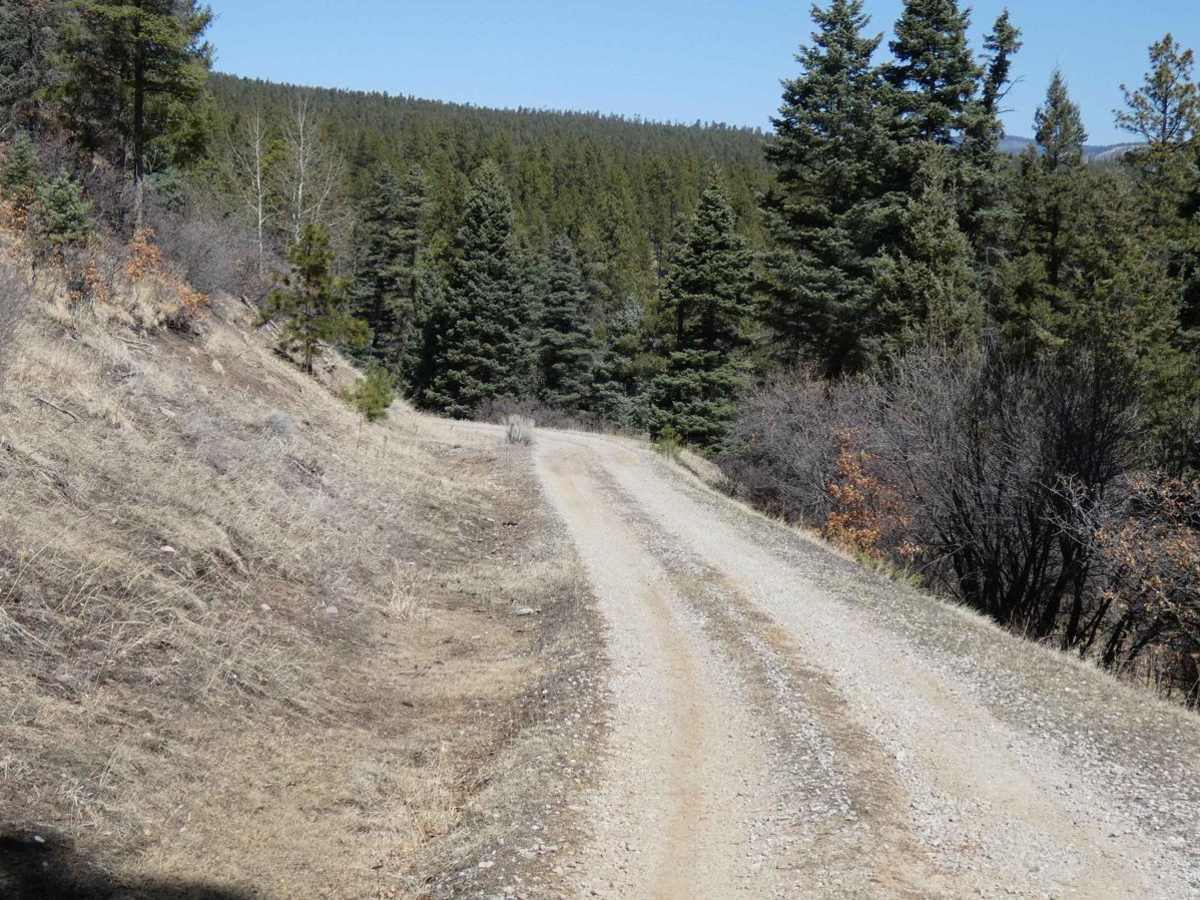 Jacques Canyon FSR-719 photo 6