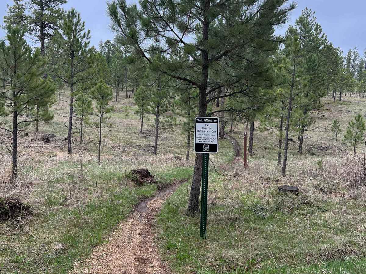 Crystal Mount Single Track photo 4