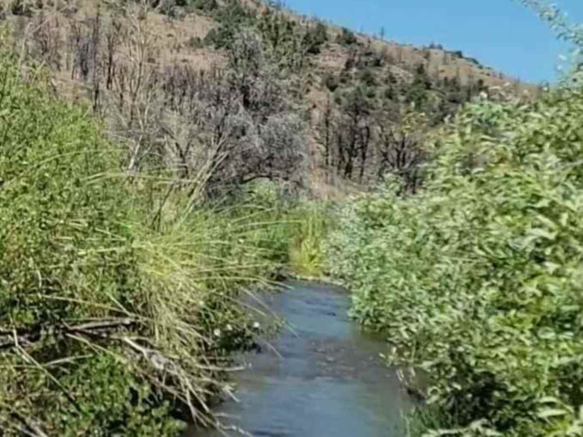 Poison Creek photo 3