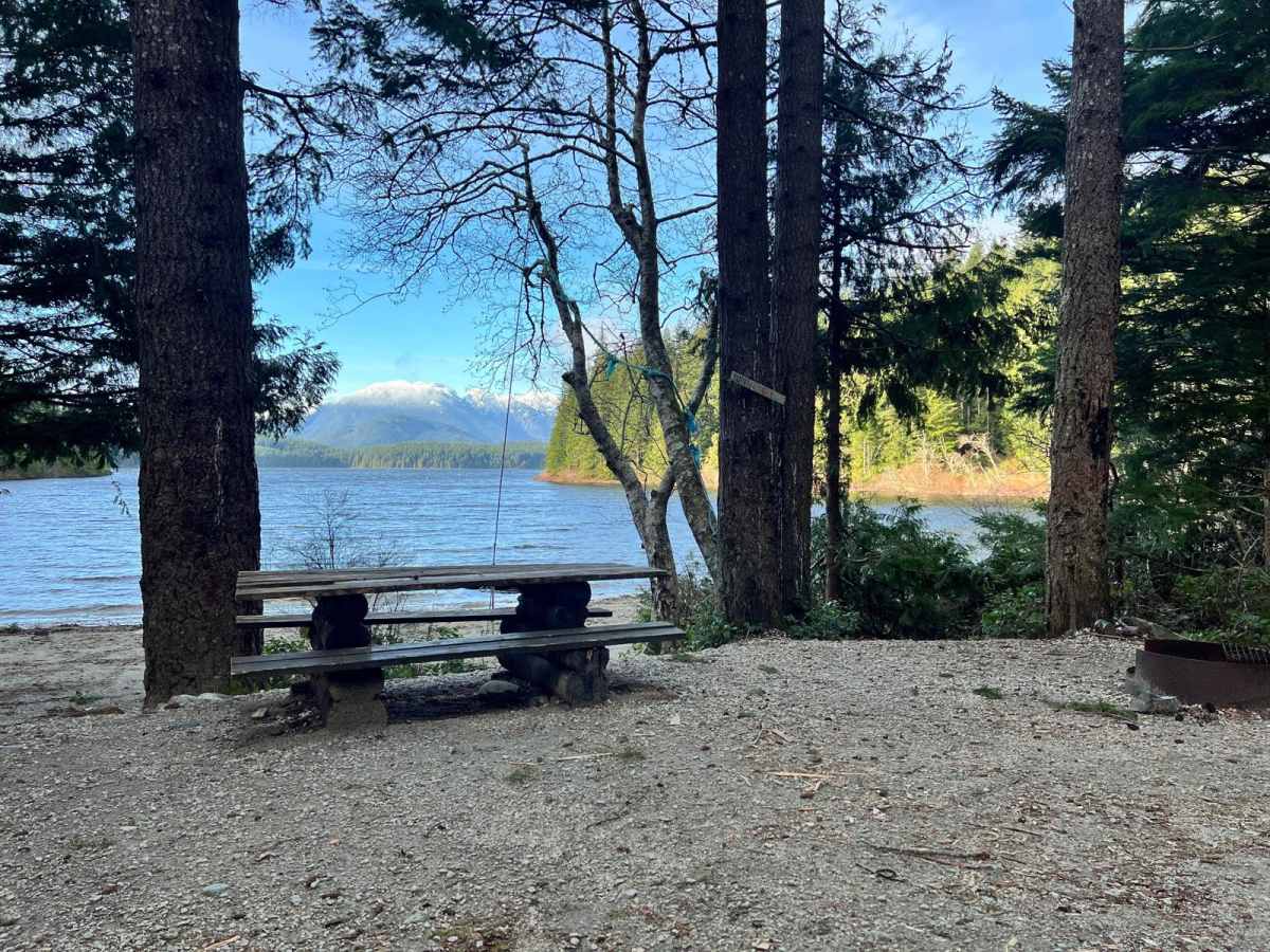 Stella Lake FSR photo 3