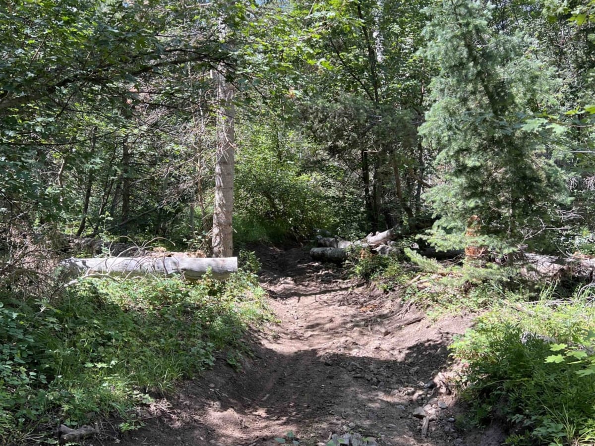 Mud Springs (2173) photo 5