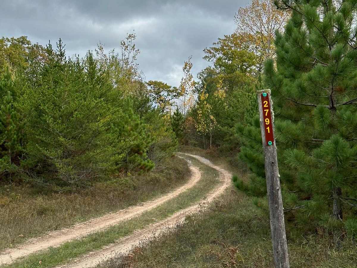 Neighbor Lake - FS 2791 photo 6