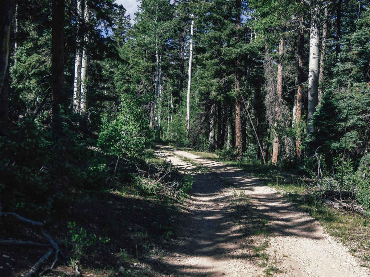 Tater Canyon photo 2
