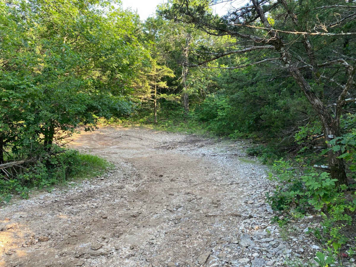 Main Loop photo 3