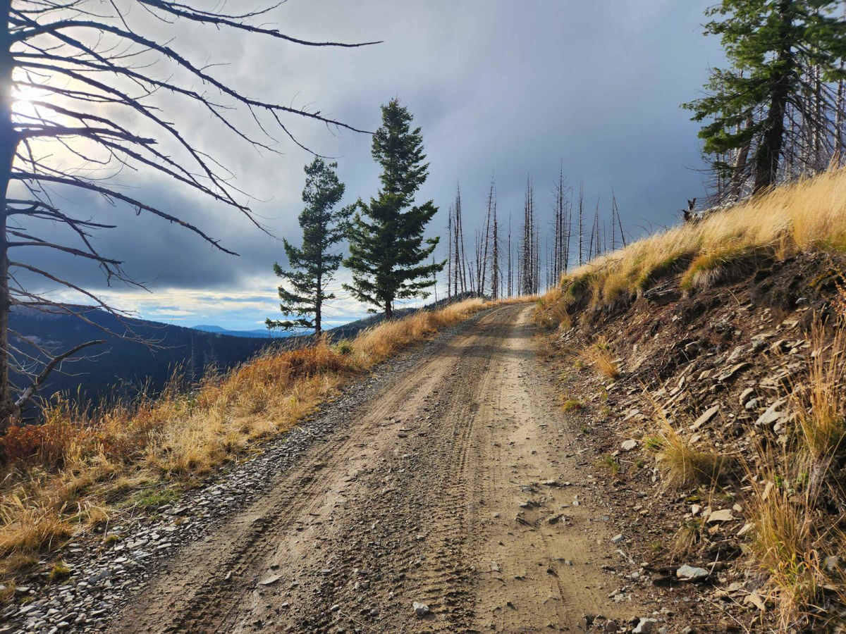 Homestead Creek photo 6
