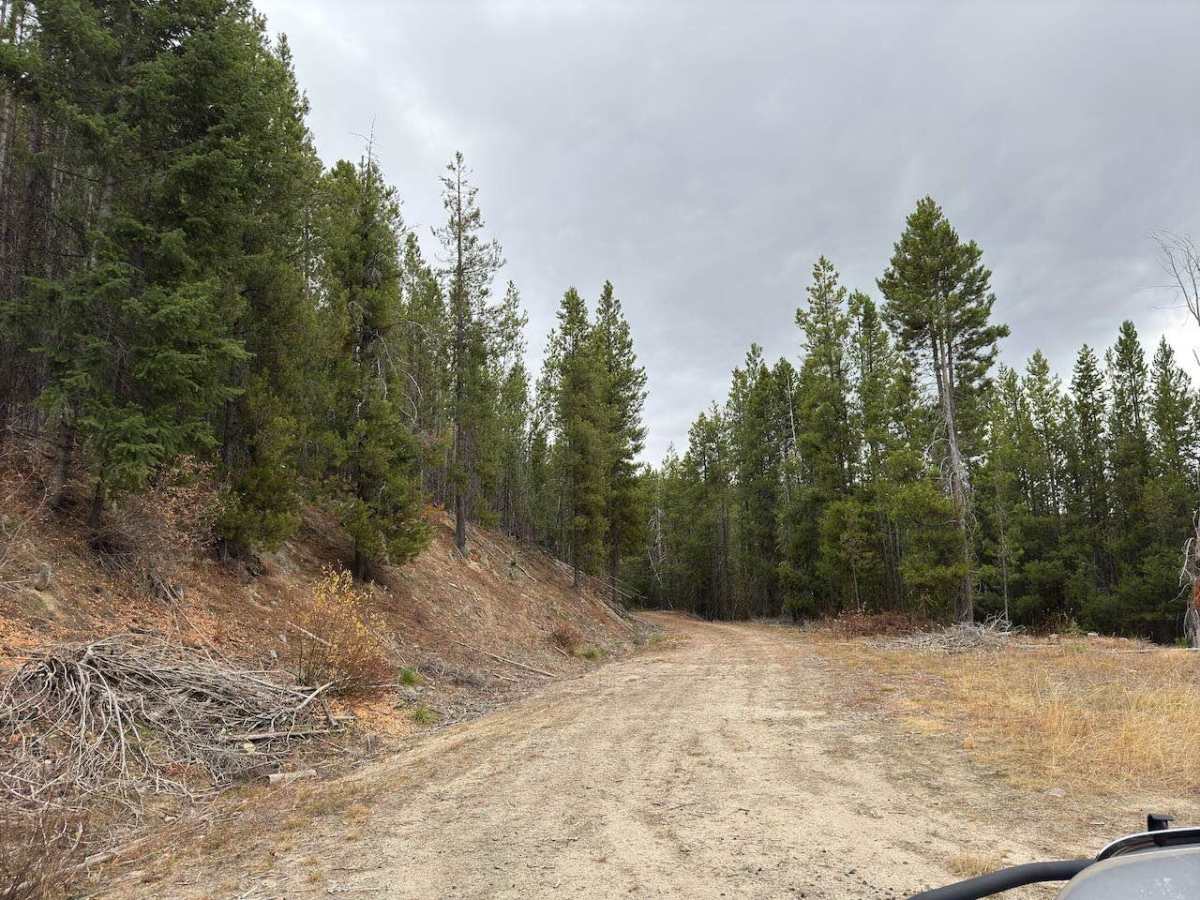 North Cameron trail photo