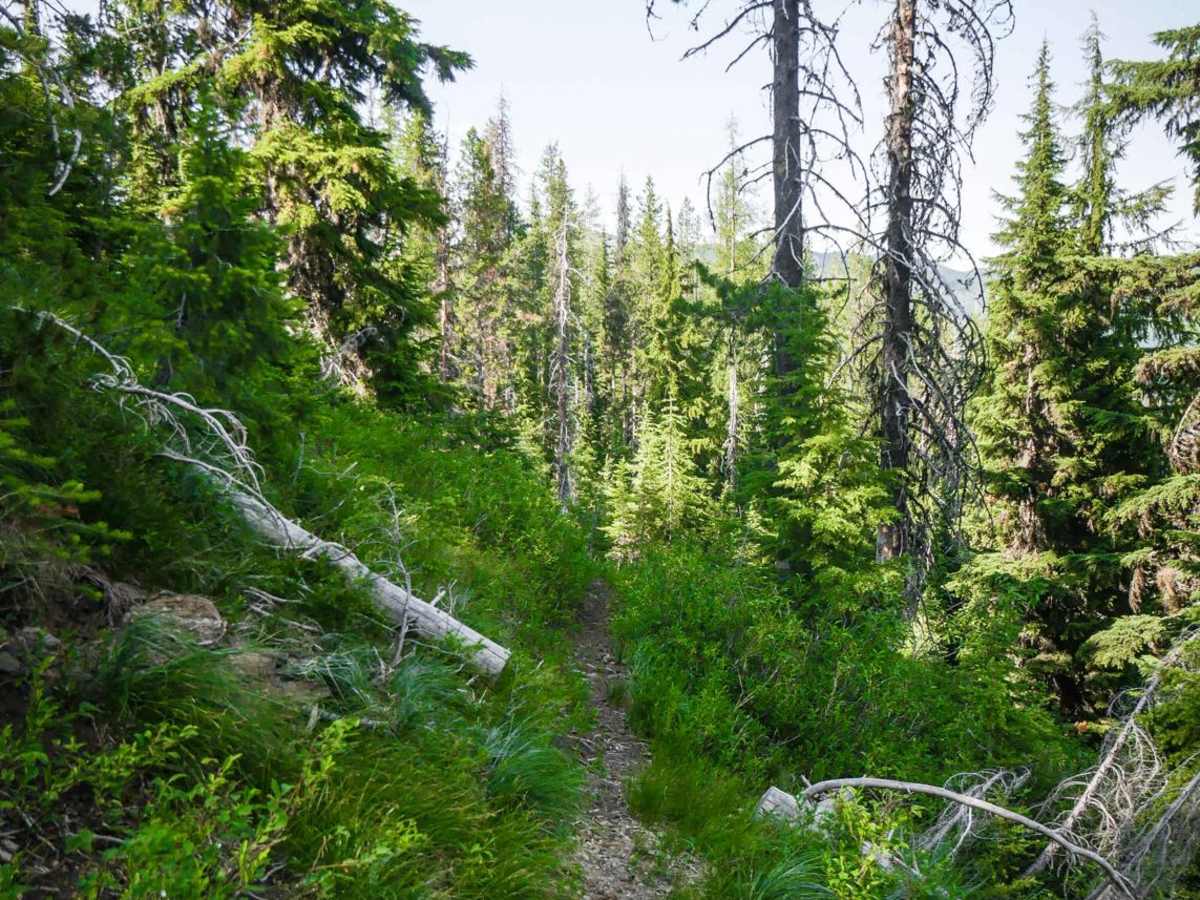 Mozier Peak photo 4
