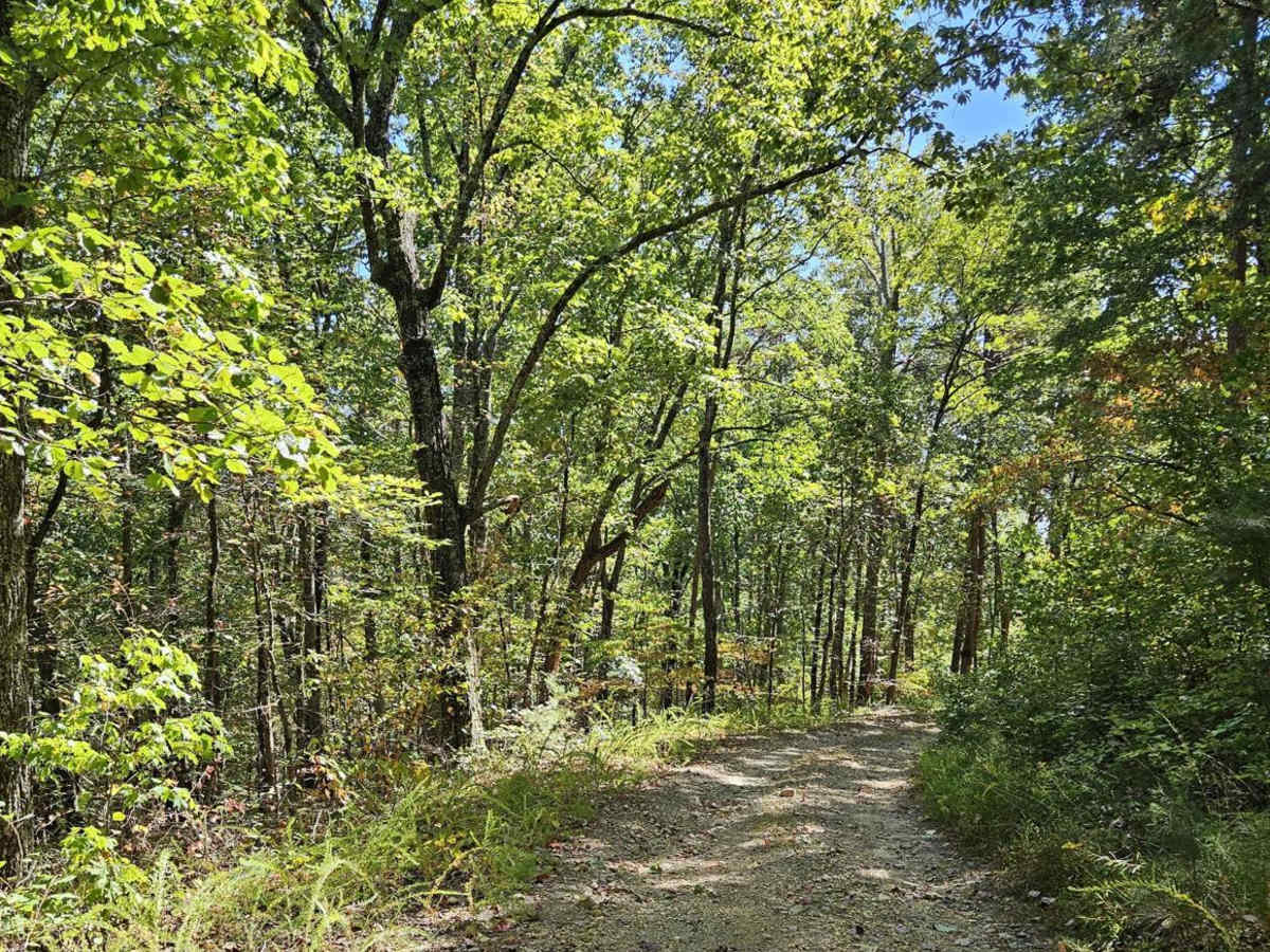 Hidden Creek Road (955-955B) photo 4