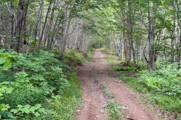 Lewis Mountain Road