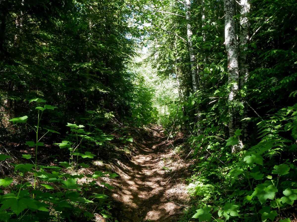 #41A ATV trail photo