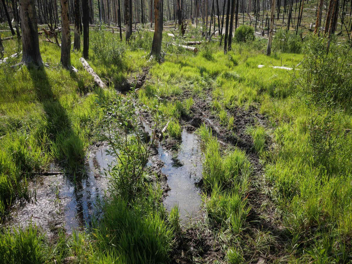 Sunday Creek photo 4
