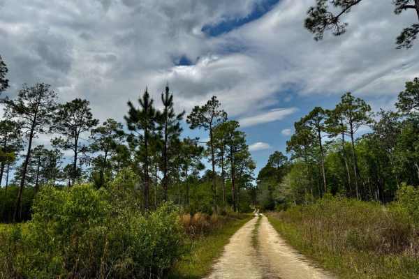 Tates Hell Creek Route